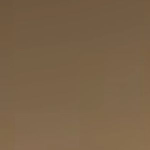 Meet your Posher, Kiara